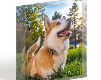 3D Photo Photo frame Memorial Plaque For Pets Cat Dog & other animals 10x10 cm Crystal clear picture frame