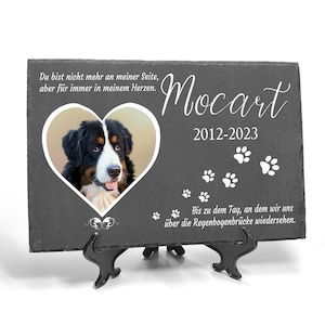 Puede incluir: Un memorial de pizarra negra para mascotas con una foto en forma de corazón de un perro de montaña bernés. El texto dice "Du bist nicht mehr an meiner Seite, aber für immer in meinem Herzen. Mocart 2012-2023 Bis zu dem Tag, an dem wir uns über die Regenbogenbrücke wiedersehen."