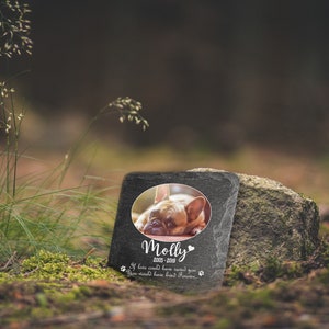 Puede incluir: Una piedra conmemorativa de pizarra negra con una foto de un Bulldog Franc&eacute;s. La piedra tiene el texto "Molly 2005-2019" y "Si el amor te hubiera salvado, habr&iacute;as vivido para siempre."
