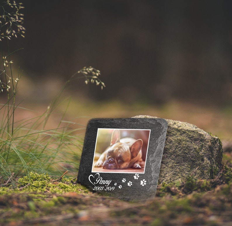 Puede incluir: Una piedra conmemorativa de pizarra negra con una foto de un bulldog franc&eacute;s. La piedra tiene las palabras "Penny 2008-2019" y un coraz&oacute;n y huellas de patas grabadas.