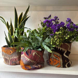 Puede incluir: Tres macetas decorativas con exteriores de tela estampada de colores. Las macetas contienen varias plantas, incluyendo una planta de serpiente, helechos y flores moradas. Las macetas están sobre una estantería blanca.