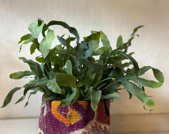 Kilim baskets combine textile tradition with modern functionality. They are both useful and decorative pieces. They measure 18 x 21 cm (diameter).