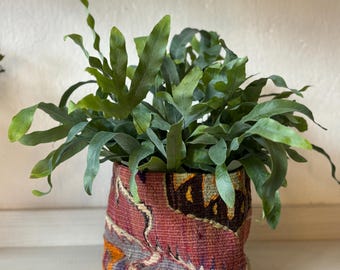 Kilim baskets combine textile tradition with modern functionality. They are both useful and decorative pieces. They measure 18 x 21 cm (diameter).