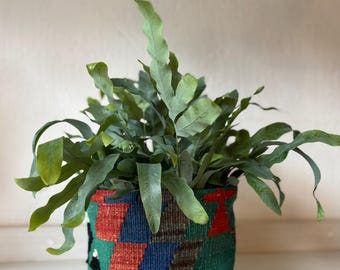 Kilim baskets combine textile tradition with modern functionality. They are both useful and decorative pieces. They measure 18 x 21 cm (diameter).