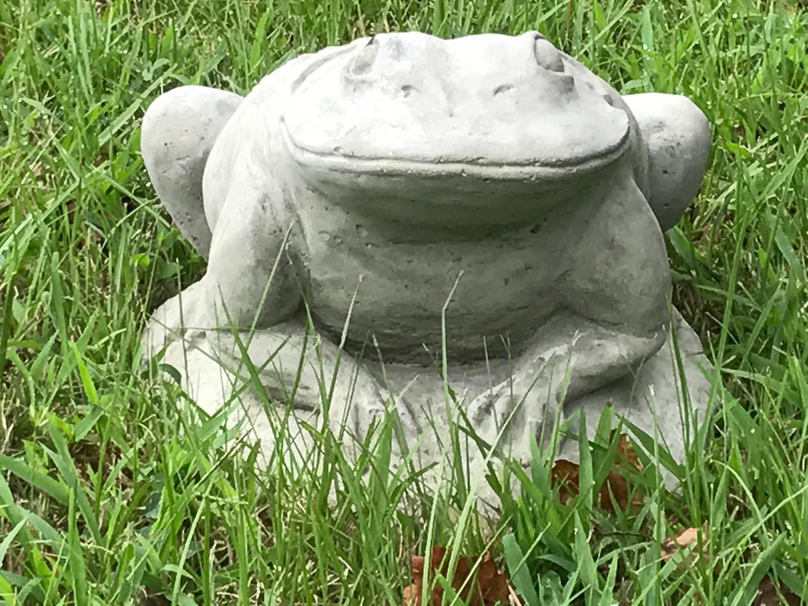 Jeremiah the Bullfrog, Concrete Frog Statue, Garden Frog, Outdoor Frog