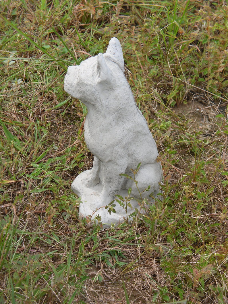 Dog Statue Boston Terrier Concrete Statue Pet Memorial - Etsy