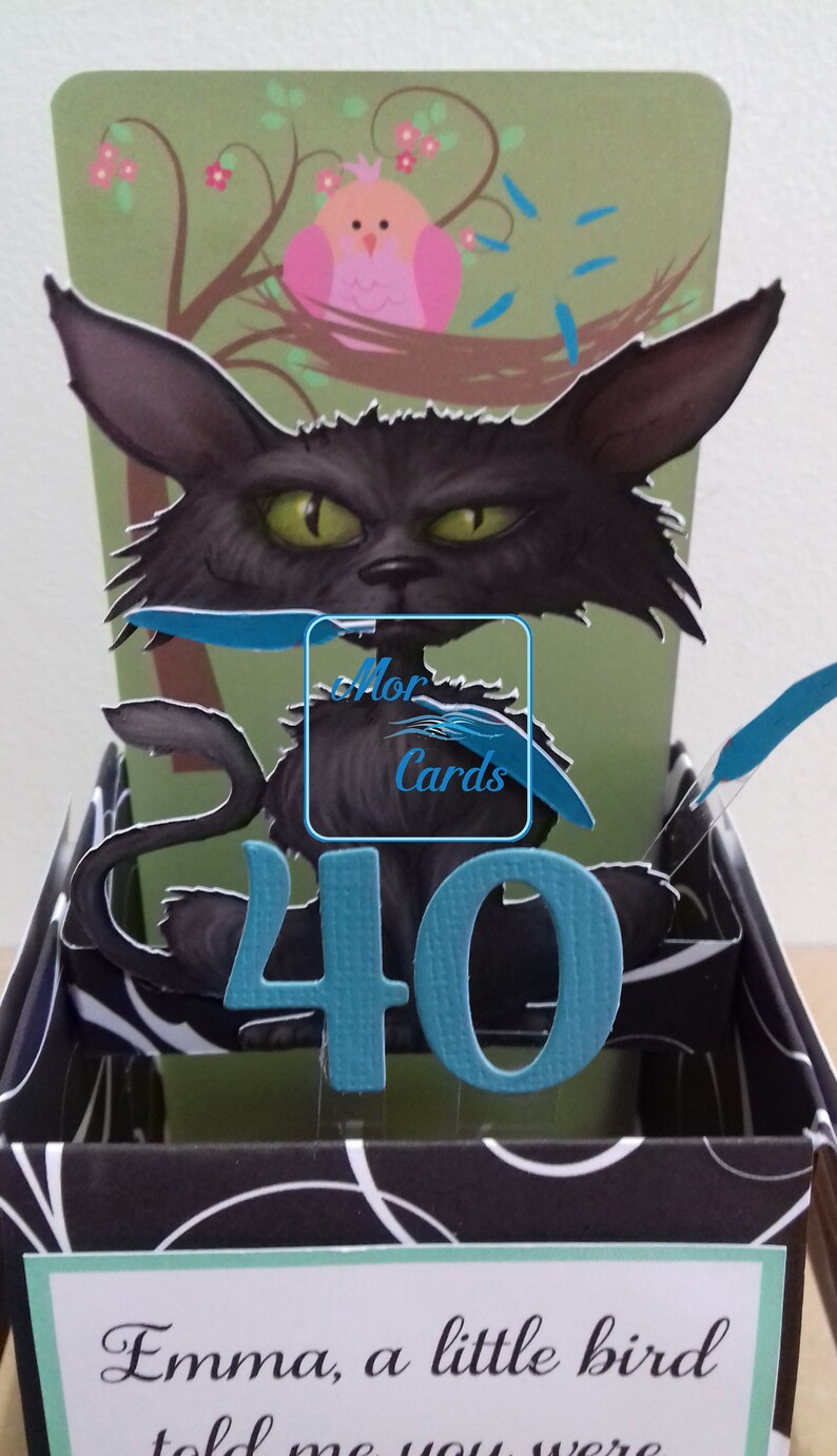 Funny Bad Taste Cat Pop up Box Card Sarcastic Age Etsy