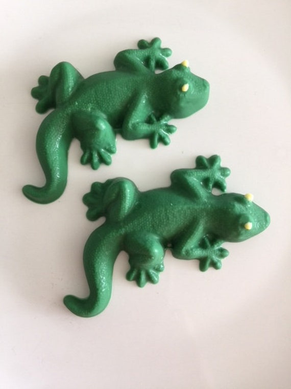 CHOCOLATE LIZARD GECKO Reptile Candy Party Favors/Birthday Etsy