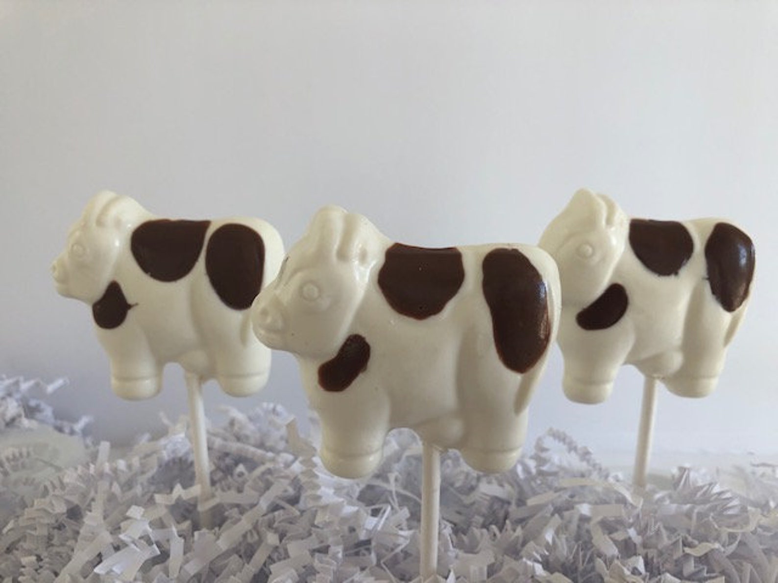 COW CHOCOLATE LOLLIPOPS 12 Qty Farm Animal/4h/cows/farm Etsy
