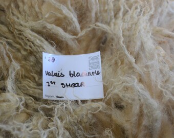 2KG RAW 1st CLIP//SHEARLING SHEEP FLEECE