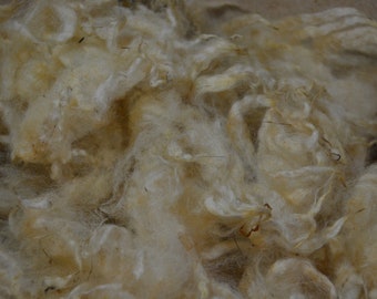 Sheep Wool From Raw To Carded Into Colorful Batts Door Wol4all