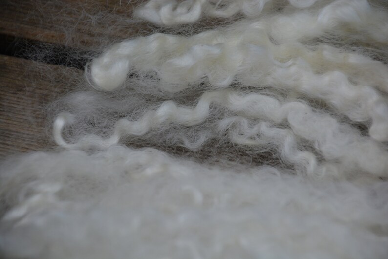 Leicester long wool locks washed 45 gram 1.58 oz