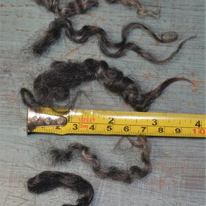 May include: Close-up of several strands of dark gray and black curly hair. A yellow measuring tape shows lengths up to 10 inches. The hair is arranged on a weathered, light blue wooden surface.