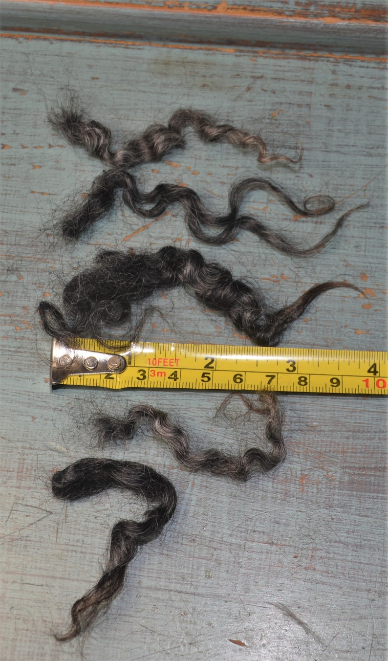 May include: Close-up of several strands of dark gray and black curly hair. A yellow measuring tape shows lengths up to 10 inches. The hair is arranged on a weathered, light blue wooden surface.