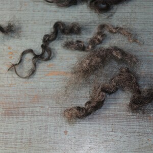 May include: Close-up of dark gray hair strands on a weathered, light blue wooden surface. The hair is in various shapes, including curly and straight sections, with a natural, textured appearance. The background has a rustic, aged look.
