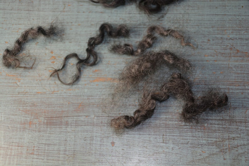 May include: Close-up of dark gray hair strands on a weathered, light blue wooden surface. The hair is in various shapes, including curly and straight sections, with a natural, textured appearance. The background has a rustic, aged look.