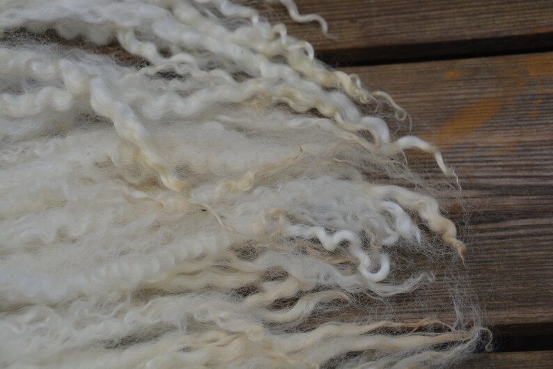 Leicester long wool locks washed 45 gram 1.58 oz