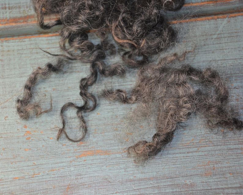 May include: Close-up of gray and black curly wool fibers. The fibers are arranged on a weathered, light blue wooden surface. The wool appears soft and textured, with varying shades of gray and black.