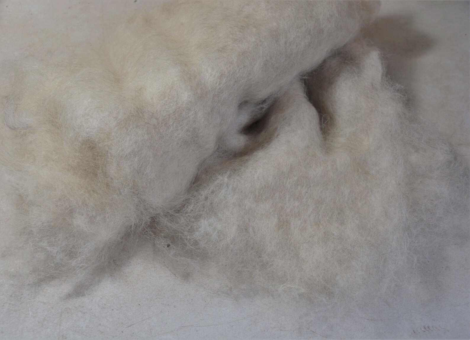 Washed & carded Lincoln Longwool batt. 600 gram/ 1.3 lb Etsy