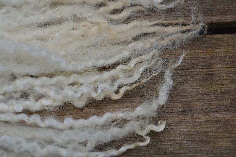 Leicester long wool locks washed 45 gram 1.58 oz