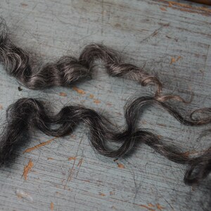 May include: Two strands of dark gray hair with a wavy, curly texture. The hair is a mix of dark and light gray, with some strands appearing almost black. The background is a weathered, light blue wooden surface.