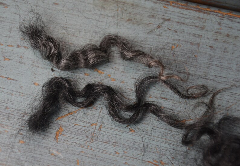 May include: Two strands of dark gray hair with a wavy, curly texture. The hair is a mix of dark and light gray, with some strands appearing almost black. The background is a weathered, light blue wooden surface.