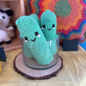 Handmade Crochet Pickle Plushie