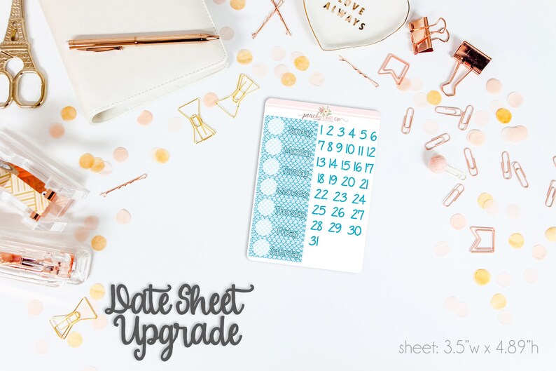 Matte Planner Stickers Perfect for your Erin Condren Life Planner WKH0100 Siren HORIZONTAL Weekly Kit 130