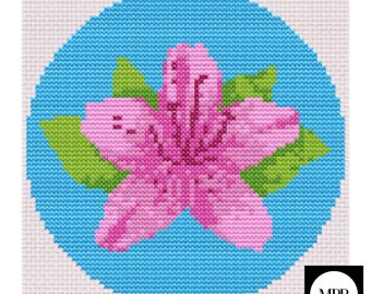 Azalea Nadelpunkt Stricknadel