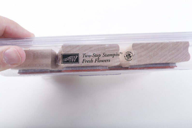 Two-step Stampin Fresh Flowers Butterfly Shapes Stamp Set - Etsy