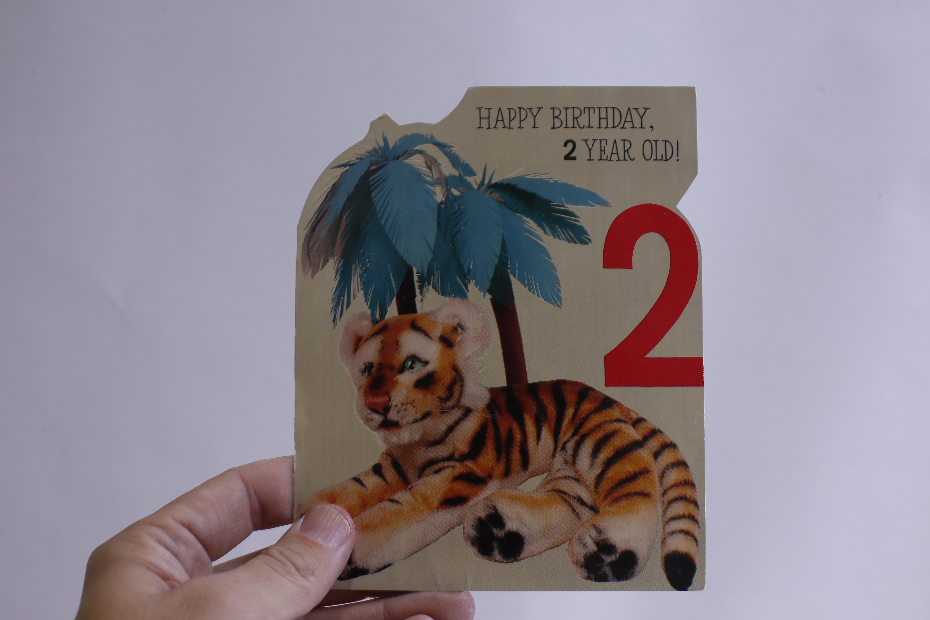 Purple Fox Biglietto D'Auguri Tigre Nella Giungla - 147x147 Mm - Qualità Premium Con Busta - Fatto A Mano Nel Regno Unito - 2