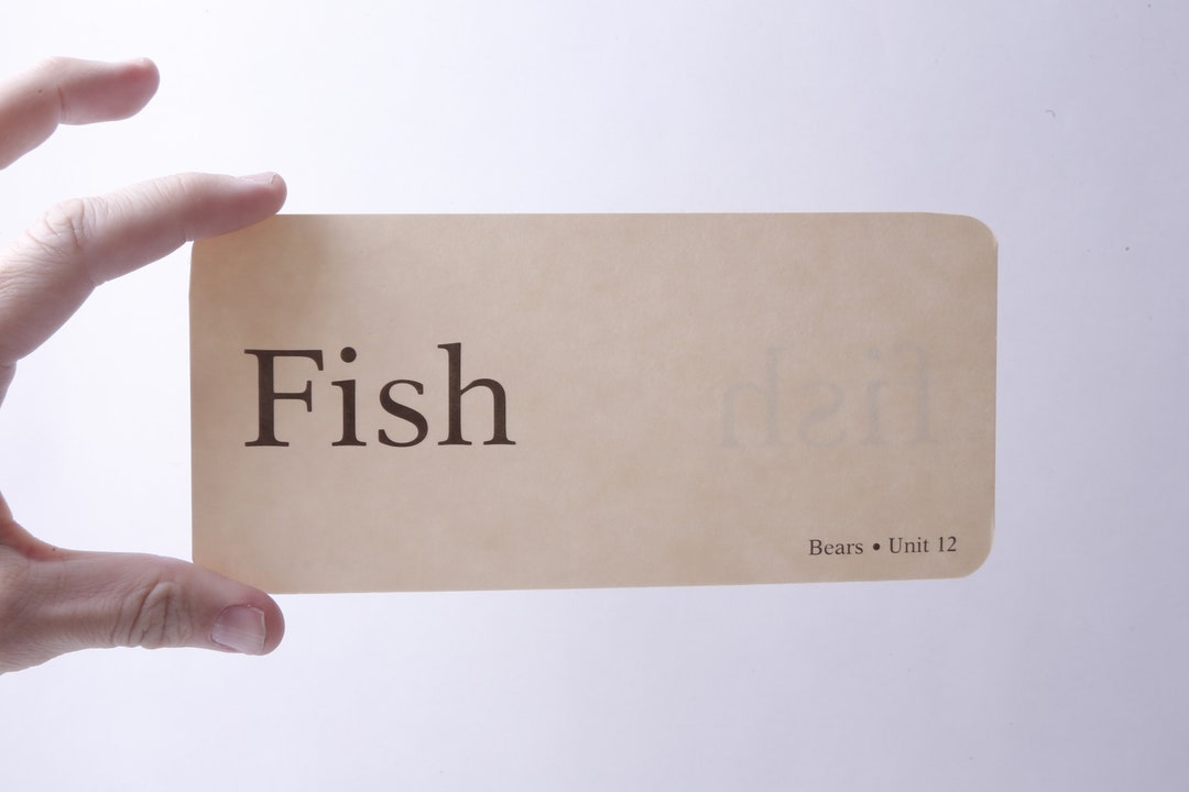 Flash Card Fish, Card, Word, English, Language, Learning, School ...