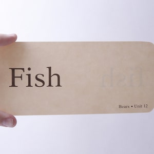 Carte Flash Poisson, Carte, Mot, Anglais, Langue, Apprentissage, École, Enfants, Éducation, vintage, ~ 20-01-621