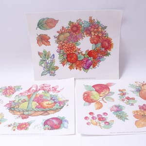May include: Three sheets of paper with colorful illustrations of fall harvest fruits and vegetables. The first sheet has a wreath of apples, pears, grapes, and leaves. The second sheet has a basket of fruit and vegetables. The third sheet has a pear, grapes, and apples.