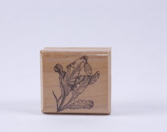Lange bladeren, plant, natuur - boodschap stempel - houten, rubber, stempel - vintage - kaart maken ~ 20-01-133