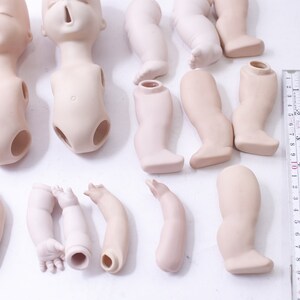 May include: A set of porcelain doll parts, including two heads, two torsos, six arms, and four legs. The parts are unpainted and ready to be customized.