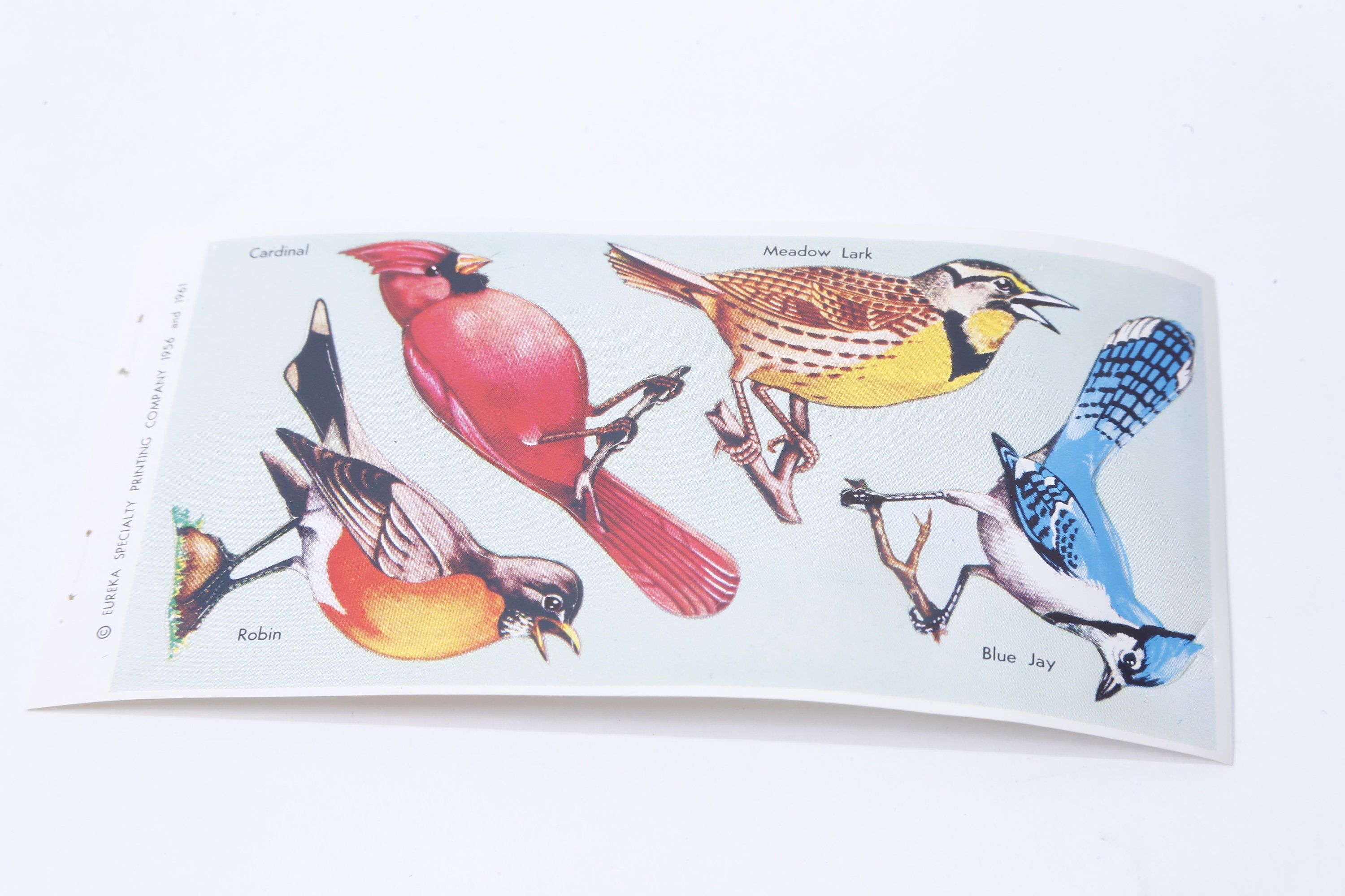 Birds, Cardinal, Robin, Meadow Lark, Blue Jay, Sticker Sheet, Eureka,  Nature, Animals, Craft, Card Making, Vintage, ~ M-03-05