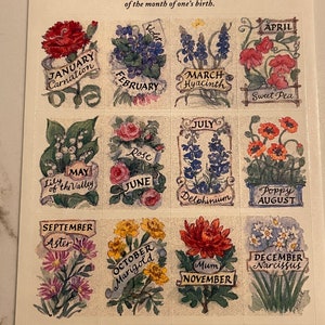 Geboortebloemen, maanden, bloemen, kalender, retro, aquarel, stickervel, keurmerk, ambacht, decor, kaarten maken, vintage, ~ 20-32-1114