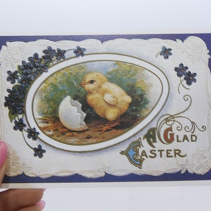 May include: A vintage Easter postcard with a blue border and a white oval in the center. The oval features a yellow chick emerging from a broken eggshell. The chick is surrounded by green foliage and blue flowers. The text "A Glad Easter" is written in gold lettering at the bottom of the postcard.