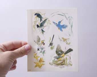 Maurice Pledger, Artworks, Birds, Little, Animals, Wild Nature, Pictures, Sticker Sheet, Card Making, Vintage, ~ 20-01-480