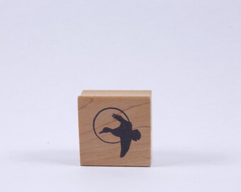 Gans, Vogel, Vliegen, Silhouet, Vleugels, Dier, Zon - Boodschap Stempel - Houten, Rubber, Stempel - Vintage - Kaart maken ~ 20-01-133