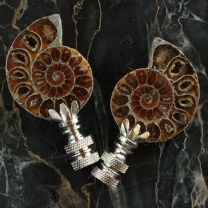 Ammonite Shell Fossil Lamp Finials on Shiny Chrome Bases - A Matching Pair