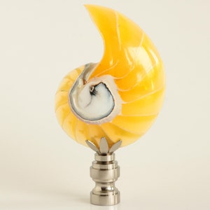 May include: A decorative lamp finial featuring a nautilus shell design. The shell is a vibrant yellow with white and gray accents, mounted on a brushed silver metal base. The finial adds a unique touch to any lamp.