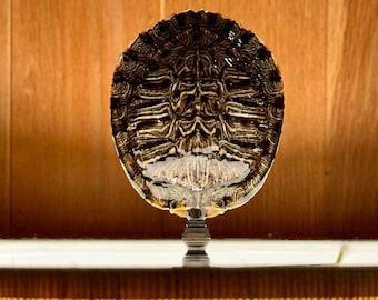 Turtle Shell Lamp Finial: Bronze Base, Unique Lighting Decor
