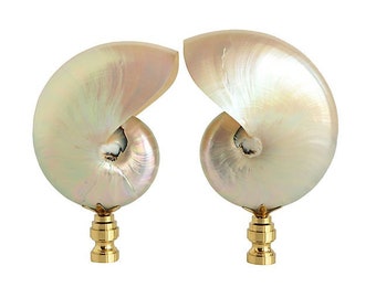 Starfish Lamp Finial Finials Lamps Starfish Lighting Lamp Etsy