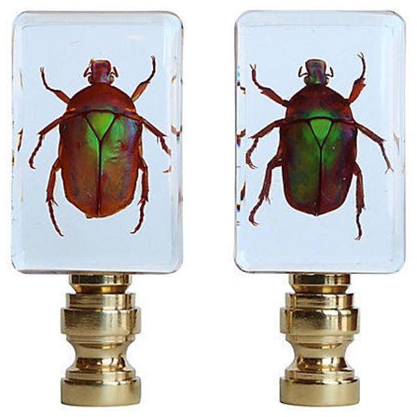 Copper Scarab Specimen Lamp Finials - Natural Beetles in Clear Acrylic on Polished Brass Bases - A Matching Pair