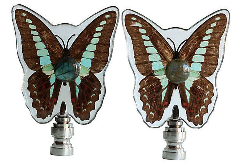 A Matching Pair Bluebottle Butterfly Specimen Lamp Finials Natural Butterflies In Clear Acrylic On Brushed Nickel Bases Table Lamps Lamps
