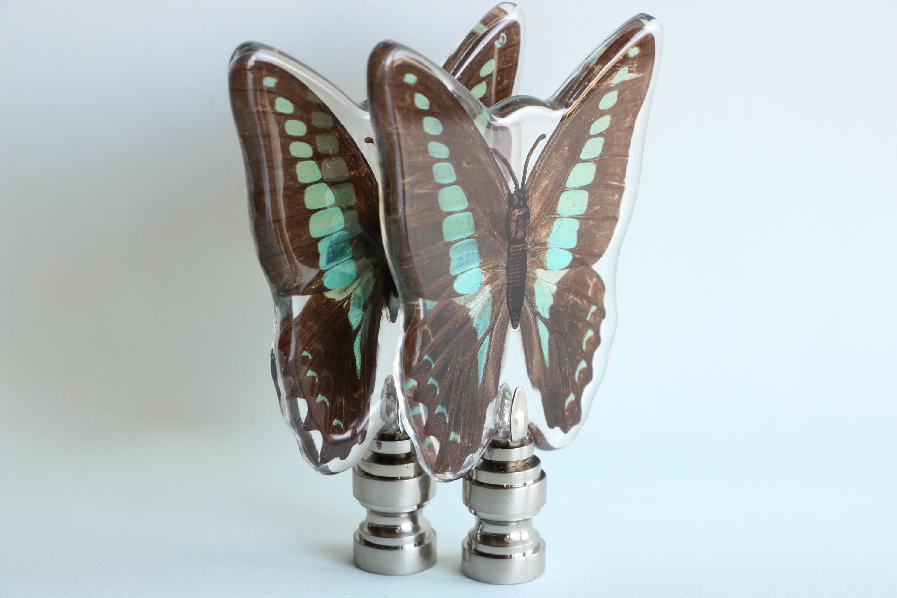 ブルーカルセドニー　蝶　スタンド付き　共生あり　　　ちょう　美しい　バタフライ ブルーカルセドニー 蝶 スタンド付き 共生あり ちょう 美しい バタフライ