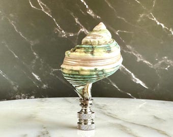 Jade Etched Mother of Pearl Shell Lamp Finial - Natural Sea Shell Specimen on Chrome Hardware - Coastal Lamp Topper