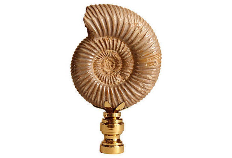 Ribbed Ammonite Shell Fossil Lamp Finials on Shiny Brass Bases Etsy
